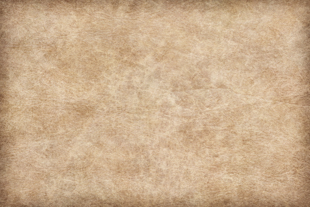 Зразок текстури шкіри тварин Vignette Grunge
 - Фото, зображення