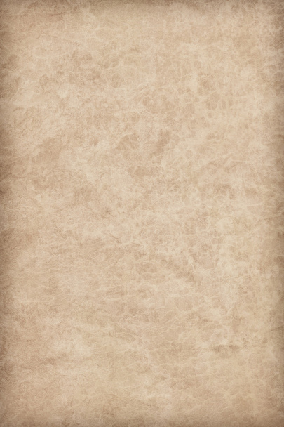 Állati bőr pergamen matrica Grunge textúra minta - Fotó, kép