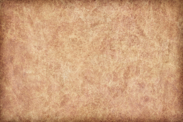 Amostra de textura de grunge de vinheta de pergaminho de pele animal
 - Foto, Imagem