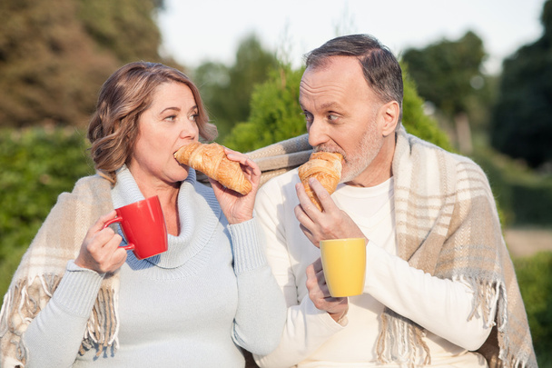 Cheerful senior husband and wife are eating in park - Φωτογραφία, εικόνα