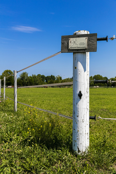 Ηλεκτρικό φράχτη σε ένα πράσινο λιβάδι - Φωτογραφία, εικόνα