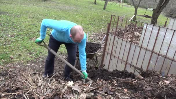gardener with pitchfork load rotten compost humus to barrow. 4K - Footage, Video