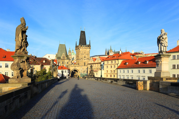Прага Святого Миколая собор з замок від Карлового мосту - Фото, зображення
