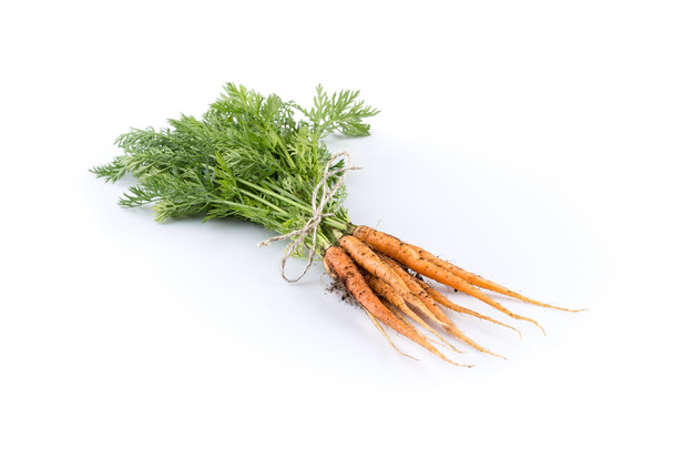 freshly picked carrots - Φωτογραφία, εικόνα