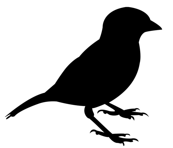 a sparrow silhouette vector - Vector, Image
