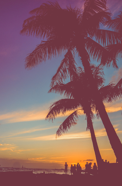 Retro Beach Party onder de palmbomen - Foto, afbeelding