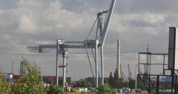 Jeřáb v přístavu v Hamburku - Záběry, video
