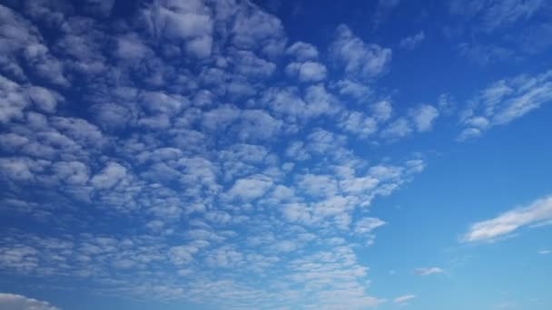 felhő mozgását a tiszta, kék ég alatt - Felvétel, videó