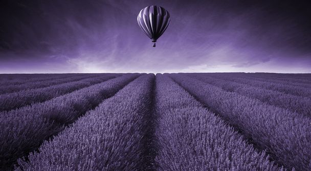 Lavender field Summer sunset landscape with hot air balloon tone - Foto, afbeelding