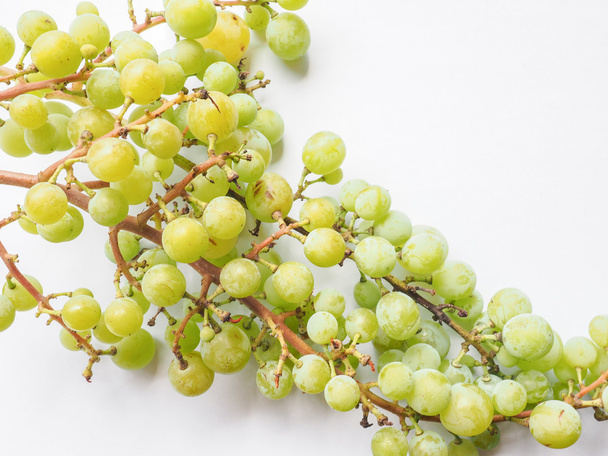 Frutos de uva blanca
 - Foto, imagen
