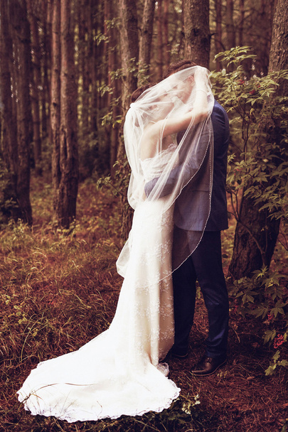 Wedding nature walks in the woods and in the field with ears - Foto, Imagem