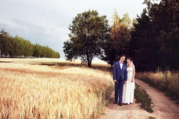 Wedding nature walks in the woods and in the field with ears - Фото, изображение