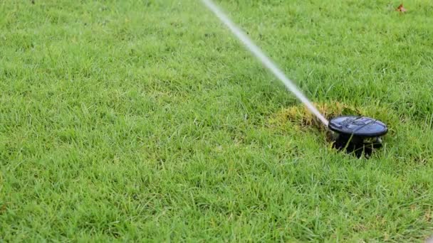 Sprinkler on the grass field
 - Кадры, видео