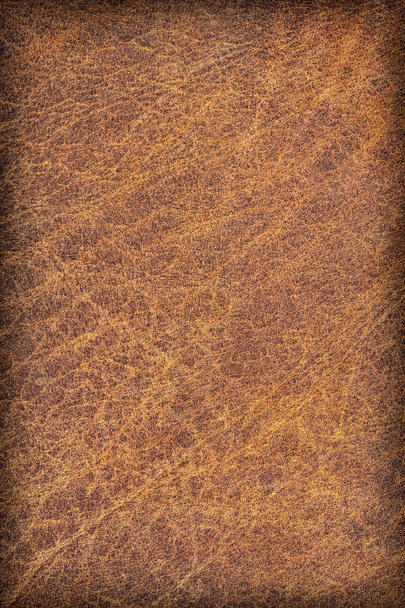Παλιά Cowhide τσαλακωμένο υφή δείγμα αποφλοίωση τσαλακωμένο Grunge - Φωτογραφία, εικόνα