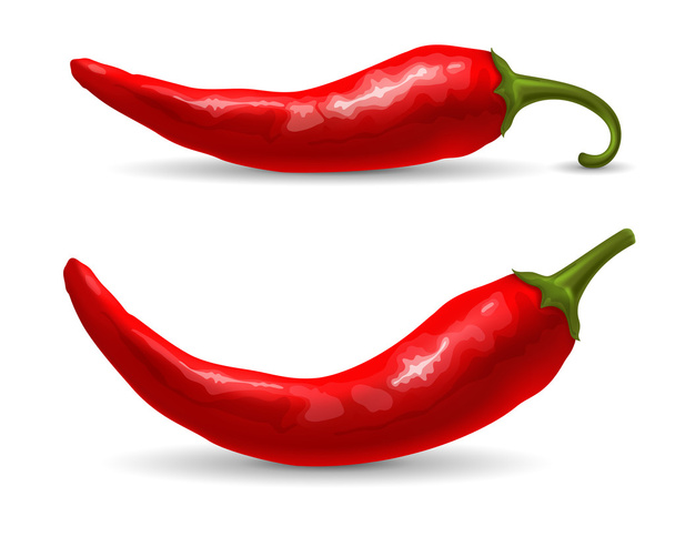 rode chili peper - Vector, afbeelding