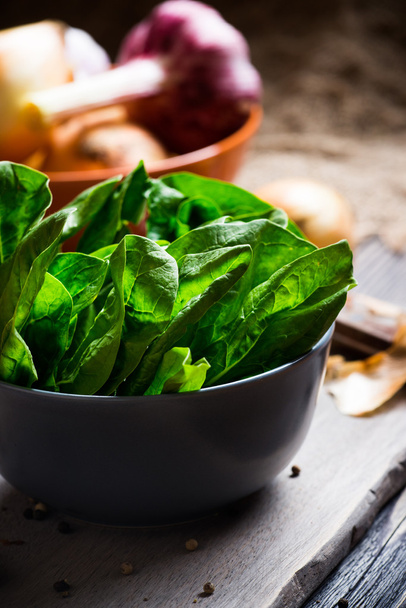 Green spinach leaves - Photo, image