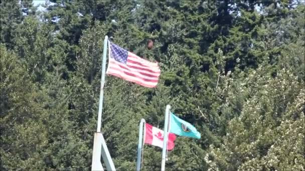 három zászlók - Felvétel, videó