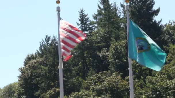США і Вашингтон державні прапори - Кадри, відео