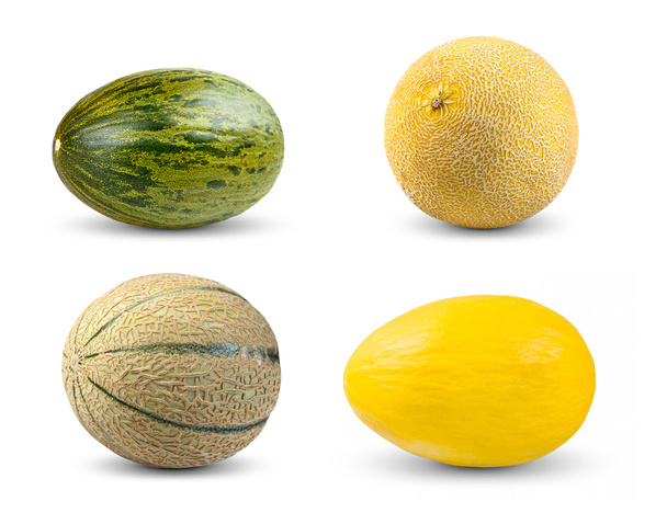 Set Colección de Melón. Cantaloupe, Galia, Piel de sapo y Honeydew. Aislado sobre fondo blanco
. - Foto, imagen