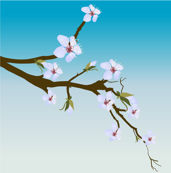 Spring Flower Vector Branch - Vecteur, image