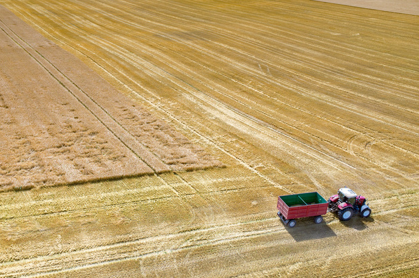 Combines and tractors working on the wheat field - Photo, Image
