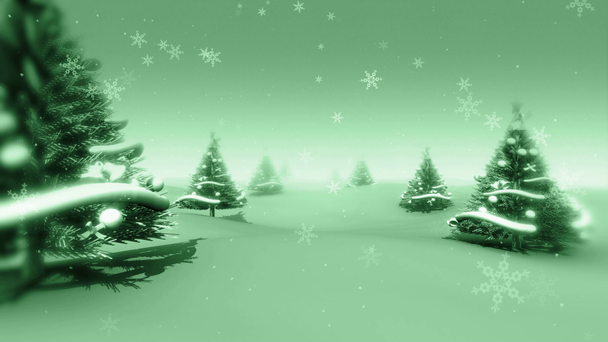 Christmas Trees and Snow (HD Loop) - Footage, Video