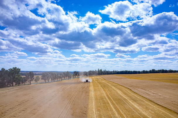 Комбайны и тракторы, работающие на пшеничном поле
 - Фото, изображение