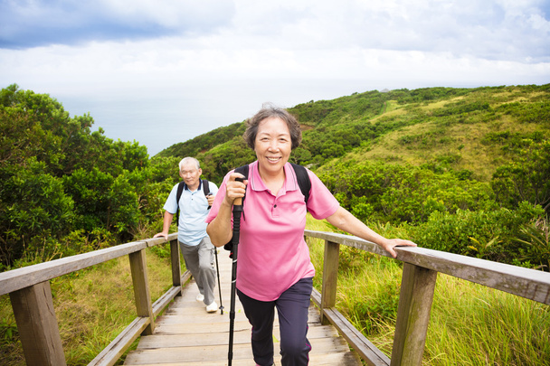 Glückliches Seniorenpaar beim Wandern im Bergpark - Foto, Bild