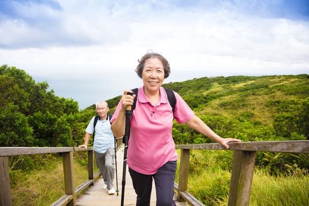 Glückliches Seniorenpaar wandert auf den Berg - Foto, Bild