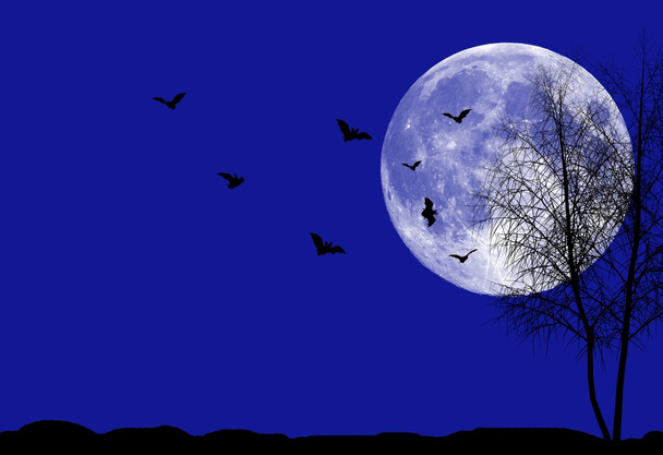 Halloween yö tausta
 - Valokuva, kuva