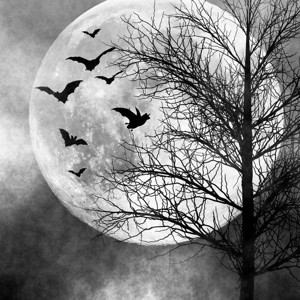 Halloween kísérteties éjszaka háttér - Fotó, kép