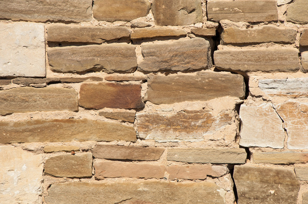Doku. Duvar taş vahşi ile kaplı - Fotoğraf, Görsel
