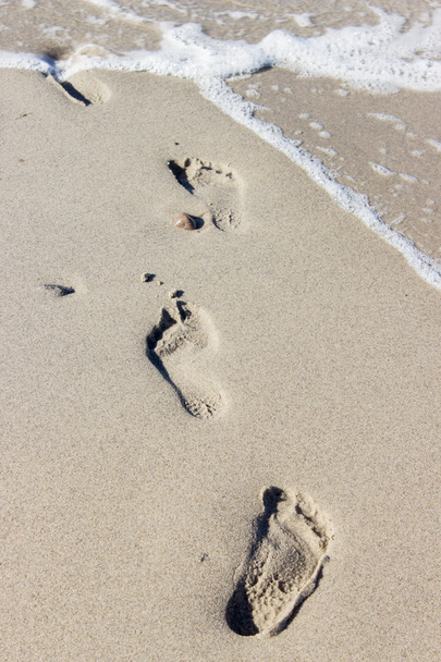 footprints - Photo, Image