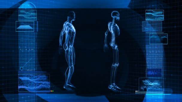 Az emberi test (Hd digitális röntgen-vizsgálat) - Felvétel, videó