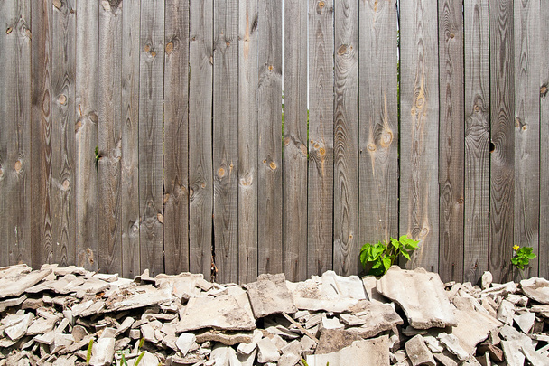 Feuilles vertes des framboises sur fond bois vintage esprit
 - Photo, image