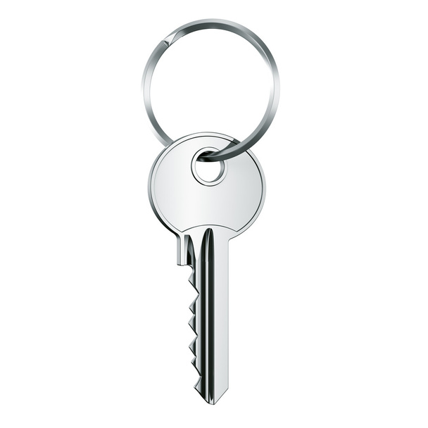 Key in key ring - Фото, изображение
