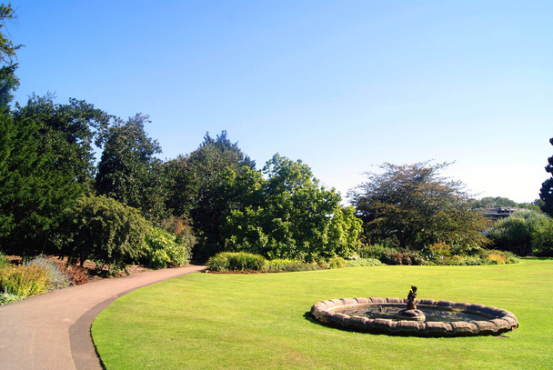 Сад с фонтаном - Фото, изображение