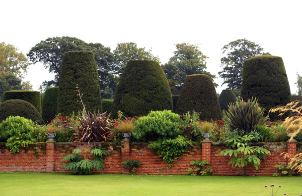 Topiary ommuurde tuin - Foto, afbeelding