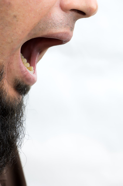 Perfil del macho con boca abierta, boca nasal de cerca
 - Foto, imagen