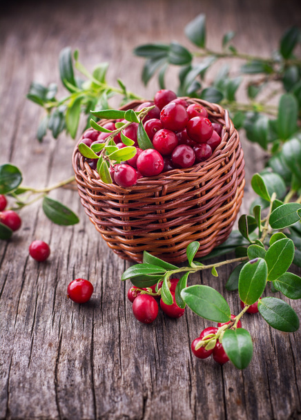 Fresh cranberries in a  basket  - 写真・画像