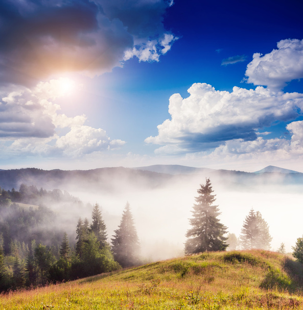 Slunečný den v horské krajiny a mlha - Fotografie, Obrázek
