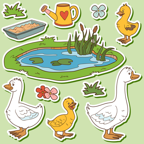 Color set of cute farm animals and objects, vector family goose  - Vector, Image