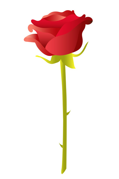 Rode roos vector illustratie - Vector, afbeelding