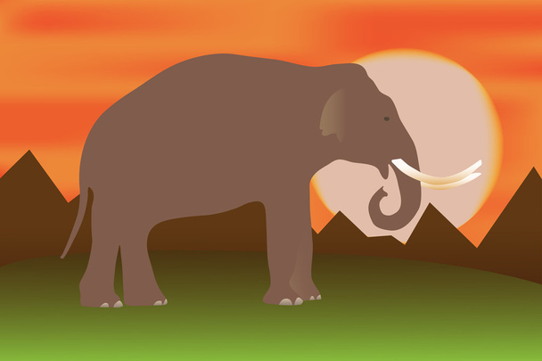 Elefante-pôr do sol
 - Vetor, Imagem