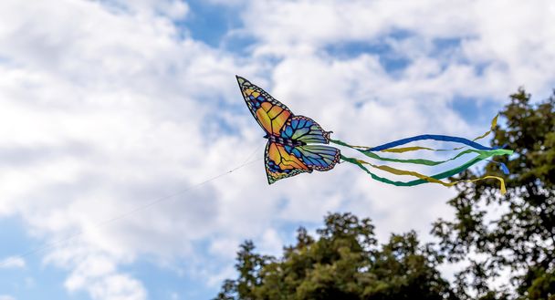 agradável pipa borboleta voando
 - Foto, Imagem