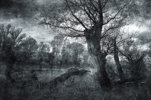 Arte assustadora grunge paisagem em preto e branco
 - Foto, Imagem