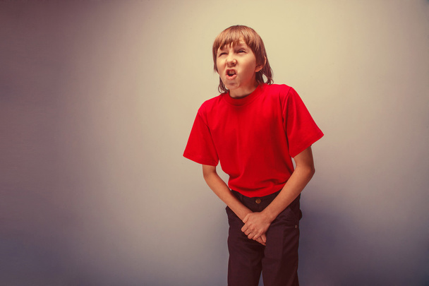 Boy, teenager, twelve years in  red shirt wants to use  toilet,  - Photo, Image