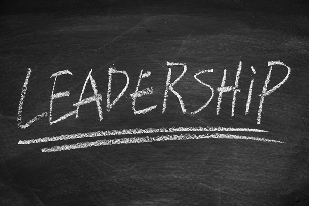 Leadership - Fotografie, Obrázek