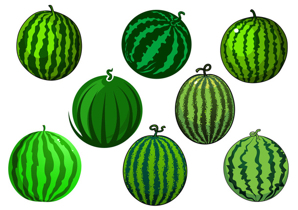 Fresh green striped watermelons fruits - Vector, Image