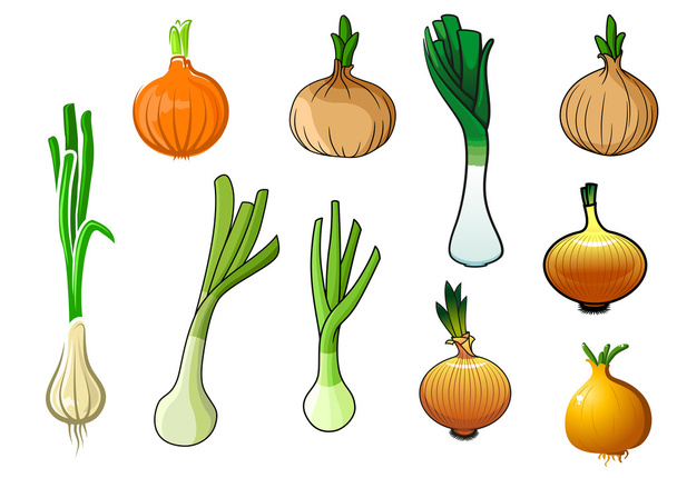 Bulbes d'oignon et légumes aux poireaux
 - Vecteur, image